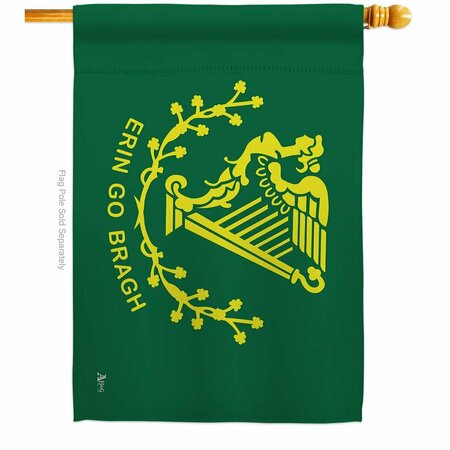 GUARDERIA Erin go Bragh Springtime St Patrick Double-Sided Garden Decorative House Flag, Multi Color GU3920017